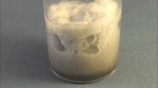 Catalytic Decomposition of Cellulose Cotton Fibers by Hydrogen Peroxide H2O2 [upl. by Adnuahsor781]