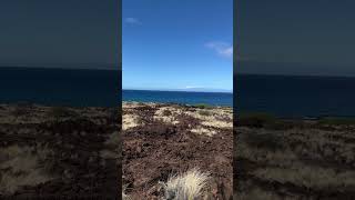 Maninio’wali Beach Kekaha Kai State Park Maninio’wali Section [upl. by Aubrette]