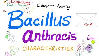 Bacillus anthracis characteristics  Microbiology 🧫 amp Infectious Diseases 🦠 [upl. by Ranit]