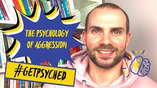 The Psychology of Aggression  Understanding The Psychology Behind Aggression [upl. by Teiluj]