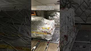 Loading cargo on passenger plane aircargo dhl dhlexpress aircraft foryou travel shipping [upl. by Shawn270]