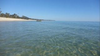 Hundreds of Catfish on Moreton Island Beach  Underwater in Moreton Bay [upl. by Short]