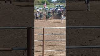 Open Bull Riding at Lone Oak Rodeo Rodeo bullriding cowboylife cowboy rodeosport cowgirl MN [upl. by Queen157]