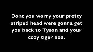 Stus Song Tiger Snooze The Hangover Lyrics [upl. by Brawner558]