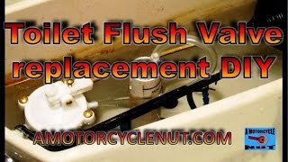 Toilet Flush Valve replacement DIY [upl. by Aneles]