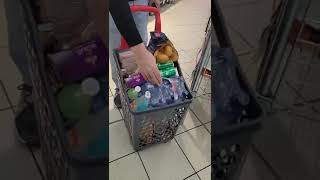 Fiumicino Rome Italy 🇮🇹 Shopping Grocery for Sindhi Biryani [upl. by Regazzi]