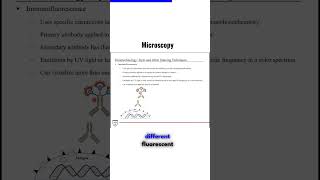 Microscopy Immunofluorescence [upl. by Marj]