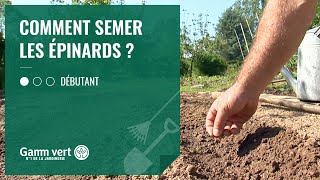 TUTO Comment semer les épinards  Jardinerie Gamm vert [upl. by Trust]