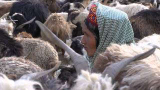 Shimshal Valley [upl. by Aihset]