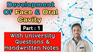 Development Of Face And Oral CavityBasic Terms Part 1 [upl. by Ahsienat]