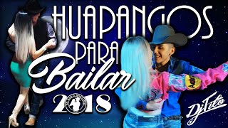 Los Mejores HUAPANGOS Para Bailar 2018 DjTito [upl. by Ellinej]