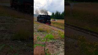 Überführung 99 7243 nach Wernigerode Brockenbahn HSB Harzquerbahn [upl. by Freyah]