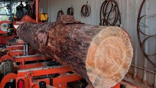 Cutting Southern Yellow Pine On Our Woodmizer LT50 [upl. by Jezabel753]