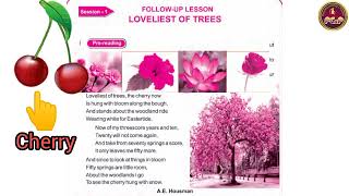 LOVELIEST OF TREES  Follow Up Lesson  Class  VII ENGLISH  ENGLISH READER  Odiamedium [upl. by Luapnaej]