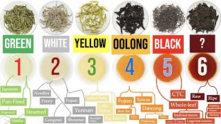 Discover the 6 Tea Types and a WORLD of Awesome Tea SubTypes  Masterclass on Tea Ch 1 of 8 [upl. by Ahsenid]