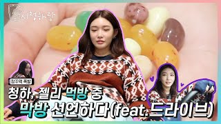 CHUNG HA Vlog EP 17 충격의 해리포터 젤리빈 도전하기 feat드라이브ㅣCHUNG HARANG 시청하랑 [upl. by Igal775]