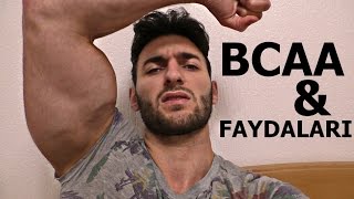 BCAA  FAYDALARI NELER  Vücüt geliştirme  Supplement  Protein  Amino asit Shredded Brothers [upl. by Anama]