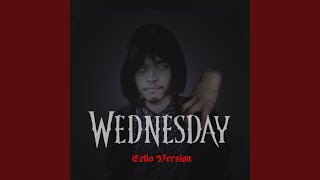 Wednesday Cello Paint it black [upl. by Aracal]