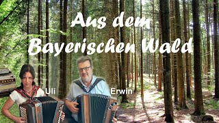 Aus dem Bayerischen Wald [upl. by Zaslow]