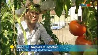 Biokost aus der Stadtfarm  MDR Einfach genial  25092012 [upl. by Hartnett]