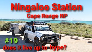 Cape Range NP Ningaloo Station Does it live up to expectations [upl. by Rabkin]