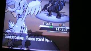 zekrom vs reshiram [upl. by Mirielle]