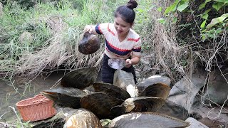 Rare Miracle The girl found a mutated river clam in the wild revealing the beauty of pearls [upl. by Chelsie]