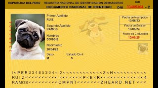 Crea un DNI online para tu mascota  DNI Zheard [upl. by Nerual]