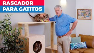 Cómo hacer un rascador para gatos [upl. by Eanod]