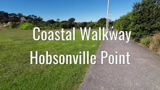 Coastal Nature Walkway  Hobsonville Point Auckland New Zealand [upl. by Yelsnya828]