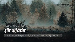 şiir şifâdır  en sevilenler 1 saat dinleti [upl. by Tamberg]