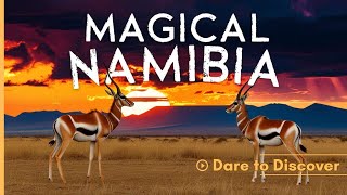 MAGICAL NAMIBIA The Amazing Wildlife of Namibia  Full Documentary [upl. by Ateloj]