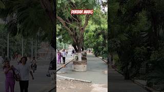 Durbar Marg Kathmandu Brand New Fooothpath after Balen Action 2024 [upl. by Kceb]