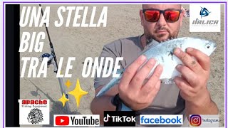 Una STELLA 🌟 BIG tra le onde testando nuovi attrezzi X ITALICA FISHING una piega violenta 🧨💥🔞 [upl. by Zoba]