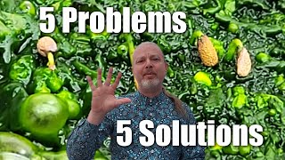 How to Solve 5 Common Seed Starting Problems [upl. by Allare]