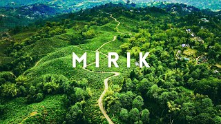 মিরিকের মায়াবী পথ ❤  NORTH BENGAL TOUR 2021  ROADTRIP TO MIRIK  DARJEELING TOURISM  DREAMWALK [upl. by Threlkeld]