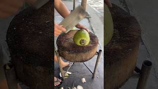 Fantastic Coconut Cutting viral coconut viral fruit cuttingfruit viralvideo cuttingskill [upl. by Akcirderf614]