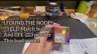 Recommended best loads73 grain ELD match bullets CFE223 powder and Loads from 243 to 245 grains [upl. by Neyugn481]