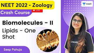 Biomolecules II  Lipids  One Shot  Seep Pahuja  Unacademy NEET  NEET 20222023 [upl. by Yenruoc831]