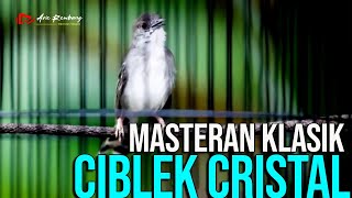 MASTERAN CIBLEK CRISTAL GACOR [upl. by Ellenig]