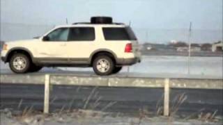 Seal taking a break from the Bering sea storm November 2011 in Nome Alaska [upl. by Reywas]