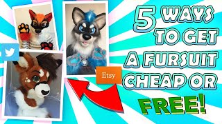 5 Ways to Get a Fursuit Cheap or For FREE [upl. by Sylvanus]