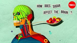 How sugar affects the brain  Nicole Avena [upl. by Noirda]