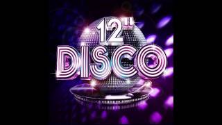 12quot Disco Mix  The Ultimate Disco Mix [upl. by Guimond682]