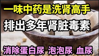 一味中药是“洗肾高手”，吃一次就给“肾脏洗一次澡”，把肾脏积攒多年的毒素排干净，消除蛋白尿、泡泡尿、血尿，防止肾癌肾衰！【本草养生大智慧】 [upl. by Aleras]