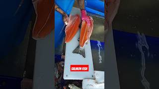 Awesome salmon cutting fish sashimi satisfying fishcutting [upl. by Atews]