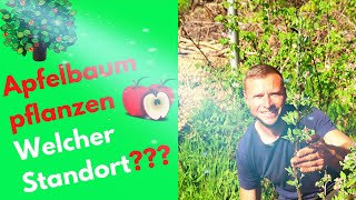 Apfelbaum pflanzen Standort 🍏  Wo im Garten und Grundstück einpflanzen 🍎 [upl. by Carbone]