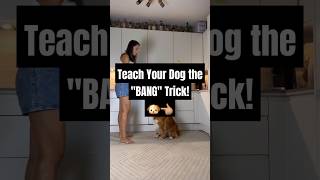 Teach Your Dog to Play Dead On Command 4 Easy Steps  dogtraining dogtricks dog [upl. by Burne]