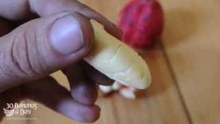 Quickest and Best Digesting Oil Salt amp Nut Free Raw Food Cheese Recipe [upl. by Ultun]