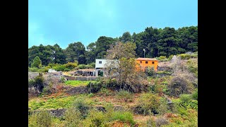 Große ObstbaumFinca mit zwei typisch kanarischen Landhäusern Außenküche Höhle und div Ställen [upl. by Ultun418]